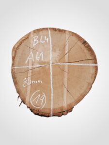 Dub 80 mm, koláč 19