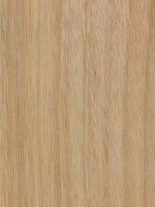 Okoume detail