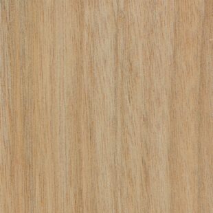 Okoume detail