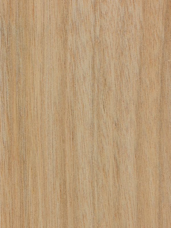 Okoume detail