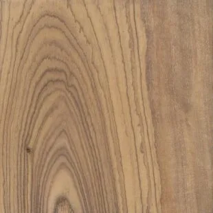 Oliva