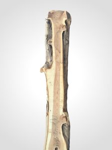 Tis červený