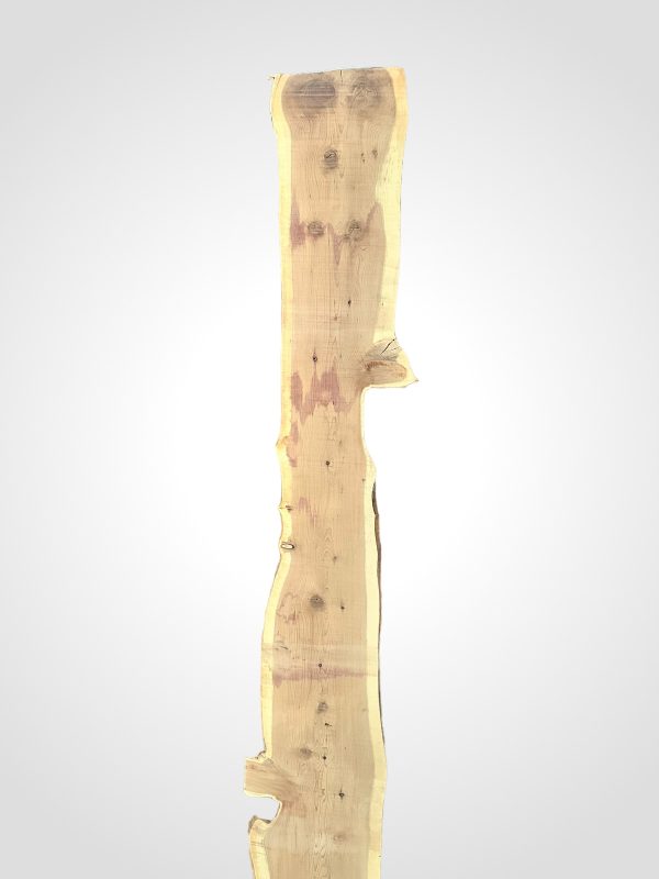 Tis červený
