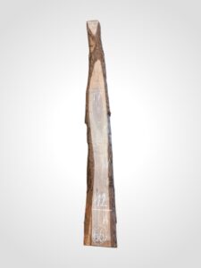 Ořech černý 30/32 mm - 66