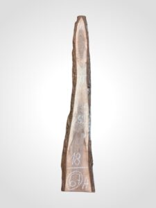 Ořech černý 30/32 mm - 67