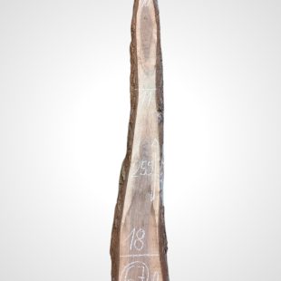 Ořech černý 30/32 mm - 67