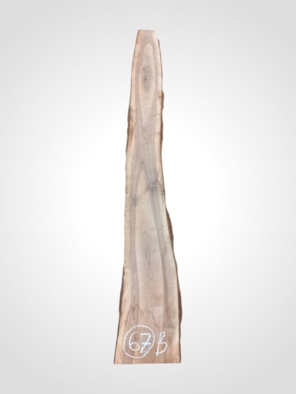 Ořech černý 30/32 mm - 67