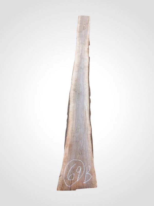 Ořech černý 30/32 mm - 69