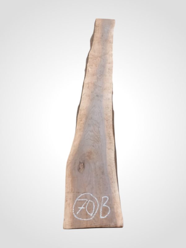 Ořech černý 30/32 mm - 70