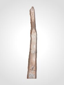Ořech černý 30/32 mm - 71