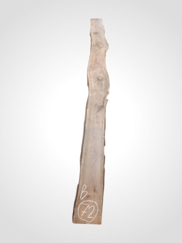 Ořech černý 30/32 mm - 72