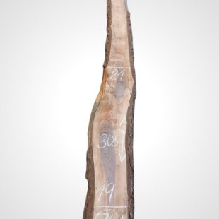 Ořech černý 30/32 mm - 74