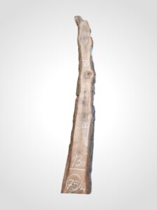 Ořech černý 30/32 mm - 75