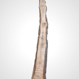 Ořech černý 30/32 mm - 75