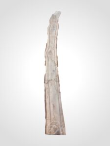 Ořech černý 30/32 mm - 75