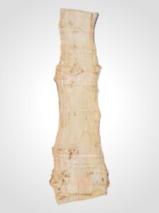 Topol očkový 52 mm na epoxid 10