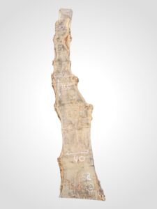 Topol očkový 52 mm na epoxid 2