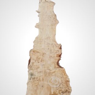 Topol očkový 82 mm na epoxid 10