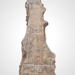 Topol očkový 82 mm na epoxid 14