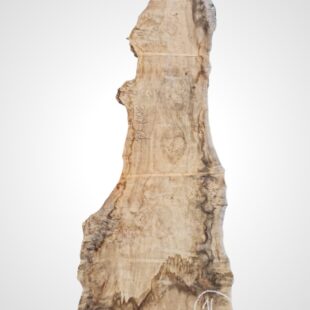 Topol očkový 82 mm na epoxid 14