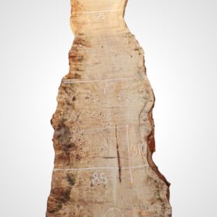 Topol očkový 82 mm na epoxid 3