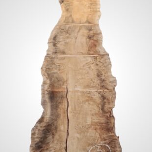 Topol očkový 82 mm na epoxid 3