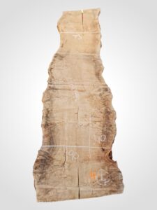 Topol očkový 82 mm na epoxid 4