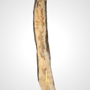 Oliva 65 mm 6