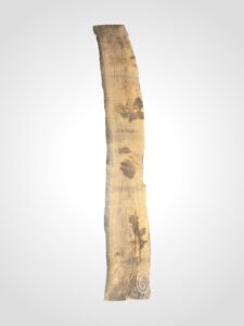 Oliva 65 mm 6