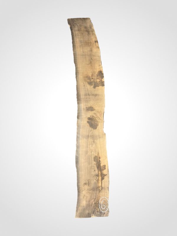 Oliva 65 mm 6