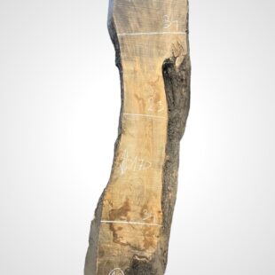 Oliva 82 mm 10