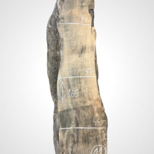 Oliva 82 mm 11