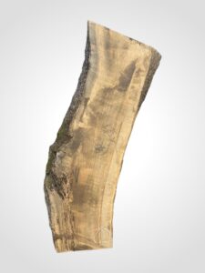 Oliva 82 mm 2