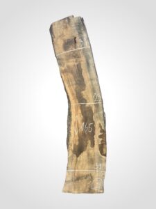 Oliva 82 mm 3
