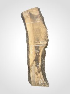 Oliva 82 mm 8