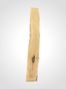Oliva 40/42 mm 9