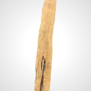 Oliva 40/42 mm 9