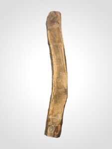 Oliva 80/82 mm 4