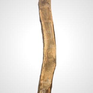 Oliva 80/82 mm 4