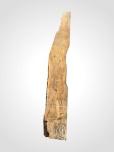 Oliva 80/82 mm 9
