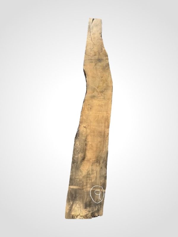 Oliva 80/82 mm 9