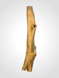 Ořech vlašský 65 mm 19