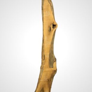 Ořech vlašský 65 mm 19
