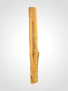 Ořech vlašský 65 mm 1