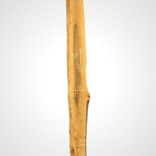 Ořech vlašský 65 mm 1