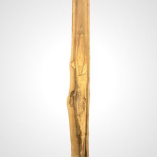 Ořech vlašský 65 mm 1