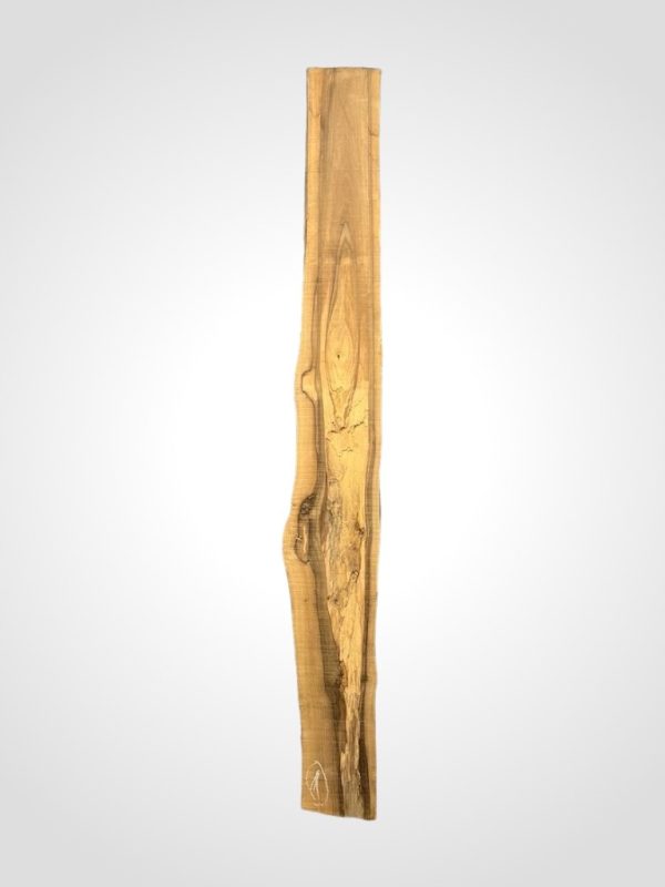 Ořech vlašský 65 mm 1