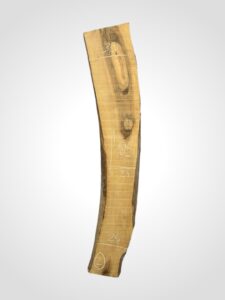 Ořech vlašský 65 mm 2