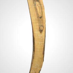 Ořech vlašský 65 mm 2