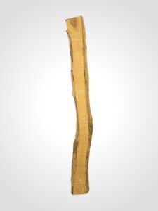 Ořech vlašský 65 mm 4